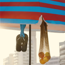 Chinelo Havaianas Brasil Preto